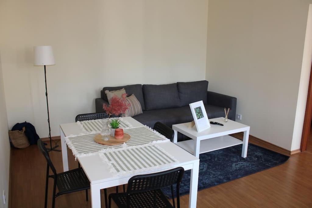 The Oasis By Downtown Apartments Târgu-Mureş Eksteriør billede
