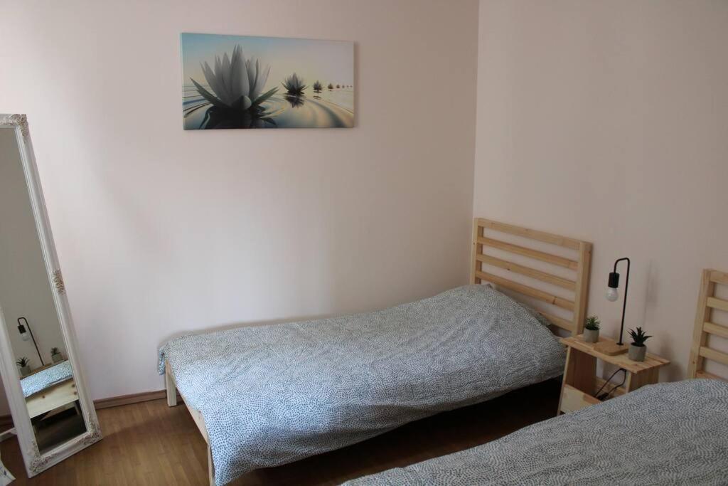 The Oasis By Downtown Apartments Târgu-Mureş Eksteriør billede